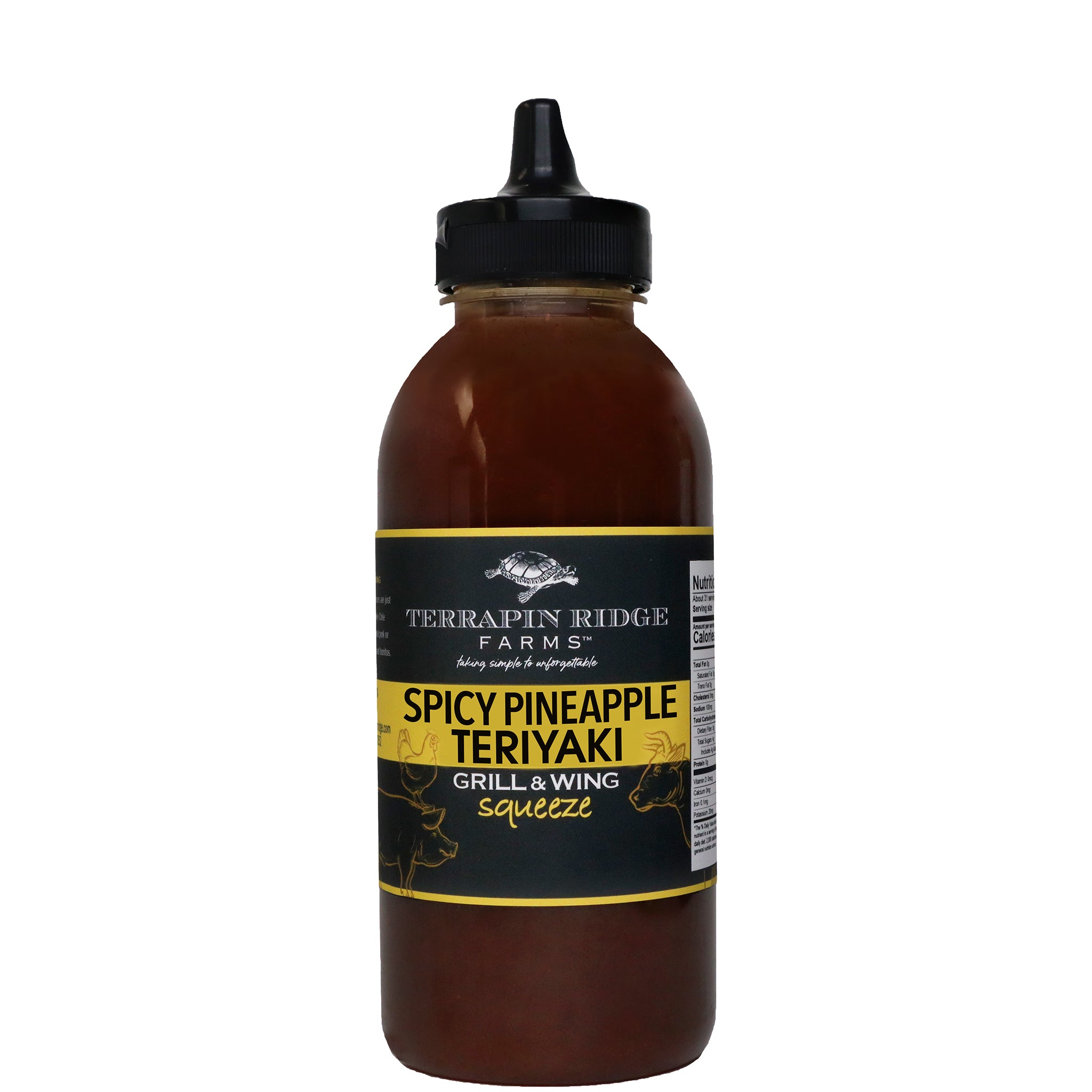 Spicy Pineapple Teriyaki Grill & Wing Squeeze - 15.5 oz – Terrapin
